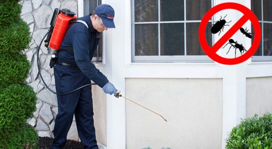 Araklı Dezenfeksiyon böcek ilaçlama ve haşere kontrolü — ilaclama-tr.com